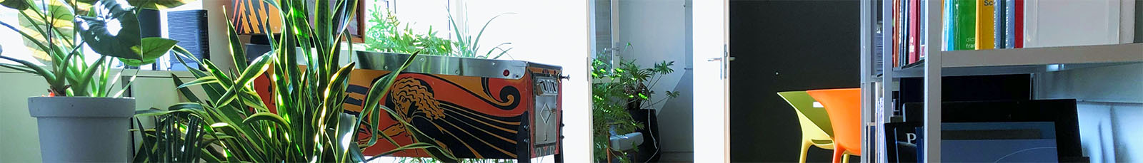 A wide crop of the Magic Pencil office interior